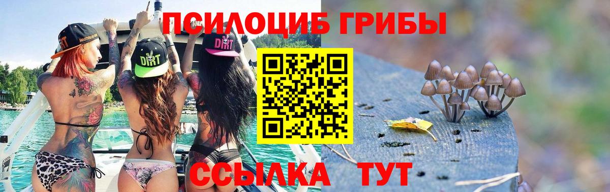 Галлюциногенные грибы ЛСД Жигулёвск