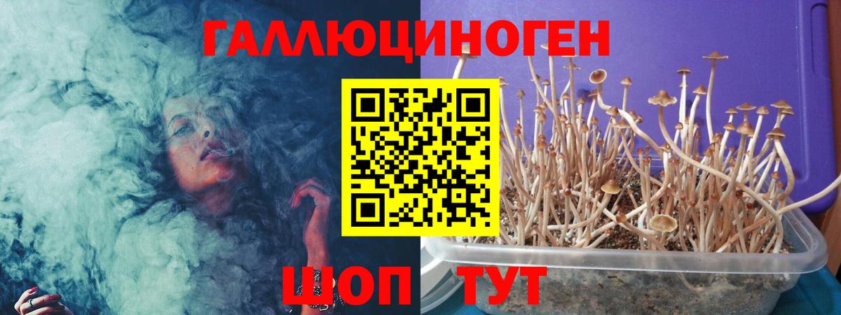 Жигулёвск  Псилоцибиновые грибы Psilocybe  Вход с VPN 
